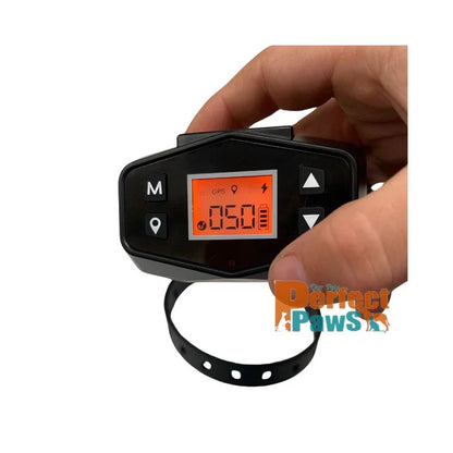 Outdoor Wireless Dog Fence System F800